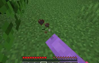 Player breaking a mob block.