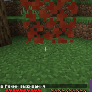 Player hitting leaves.