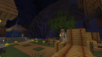 Rainy Village Night
