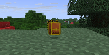 Golden backpack