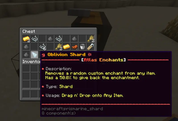 Oblivion Shard