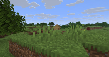A Secret house a village in there