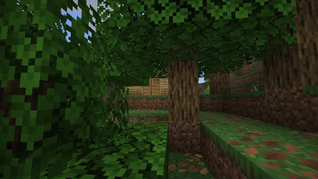 A house???