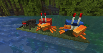Crabs