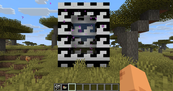 sammy face portal 