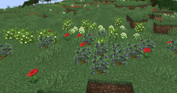 More berries