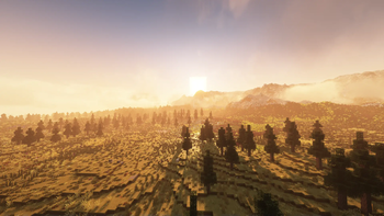 Sunset in the meadows