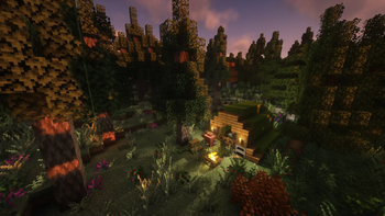 A camp in the woods