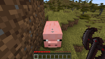 Pig's Last Wish