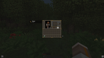 Cosmetic Armor Reworked Inventory