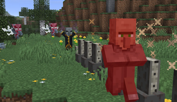 Evoker attack Villager
