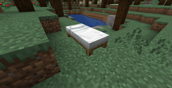 It's a bed!