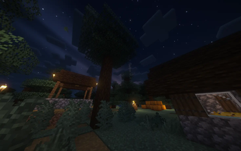 Clear Night Ambience