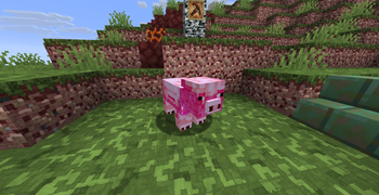 DrawnCraft — screenshot 3