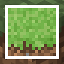 Lower Grass