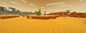 Cactus in the Red Sand Dunes