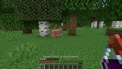 Potion of Displacement