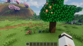 Plant