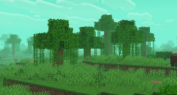 Sparse Jungle