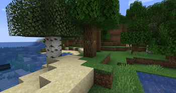a tree which has been inoculated