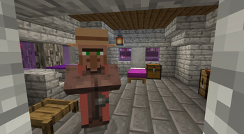 the new villager