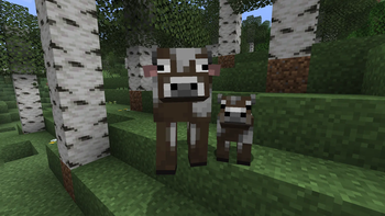 Fresh Animations