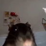 RATPackStudios