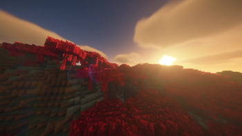 Shader Example