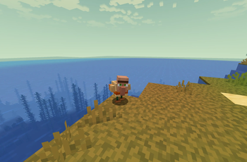 Villager Chickens