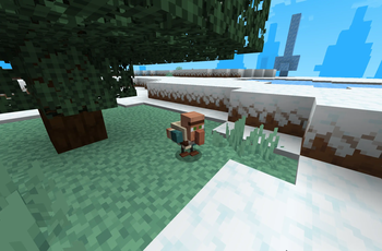 Villager Chickens