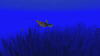 Flying Fish