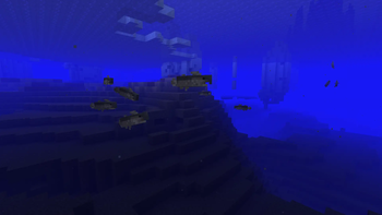 Ocean Salmon