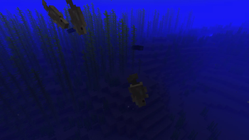 Cod