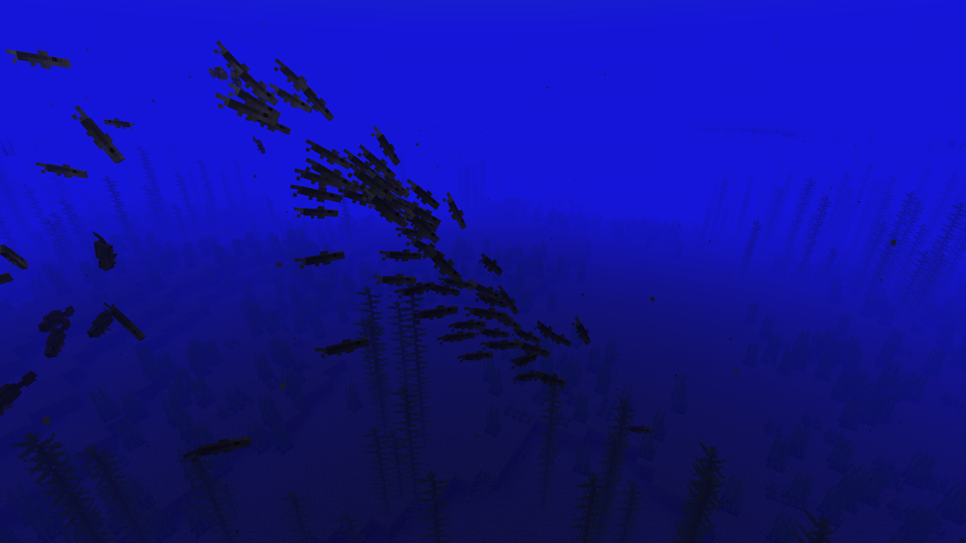 Baitfish