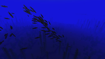 Baitfish
