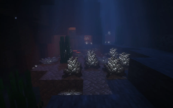 Elder Prismarine Corals