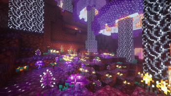 Luminous Grove