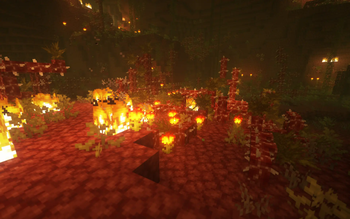 Undergrowth