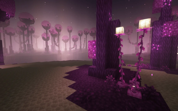 Poise Forest