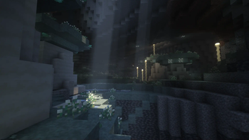 Lichen Caves