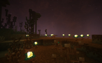 Celestial Grove