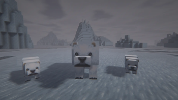 Polar Bears 