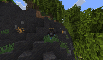 Netherite Ruck