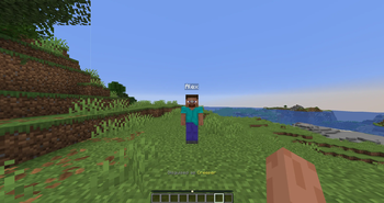 Disguise view
