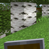 Small Shield