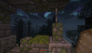 Entity