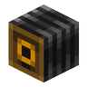 snapcam logo