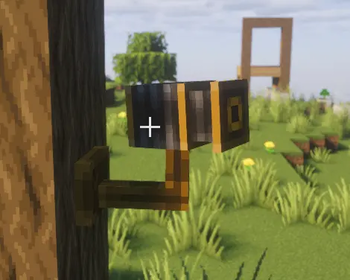 Extension