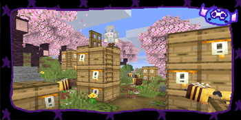 Pack banner