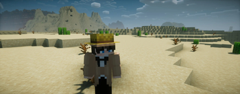 Straw hat in hot desert